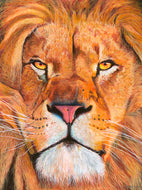 THE LION OF THE TRIBE OF JUDAH (Original artwork)